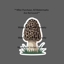 Morel Mushroom Sticker Waterproof Decal Outdoor Nature Foraging Hunting Gift NEW