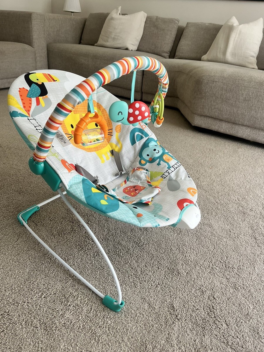 Chad Valley Argos Fisher Price Bouncer Argos Fisher Price Bouncer