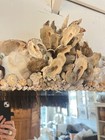 Custom “Old World” Shell Encrusted Mirror — photo 5