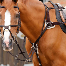 Premier Equine Invorio 5 Point Breastplate Brown