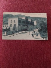 Cartolina Aosta Corso Vittorio Emanuele II E Statue Dei Cesari