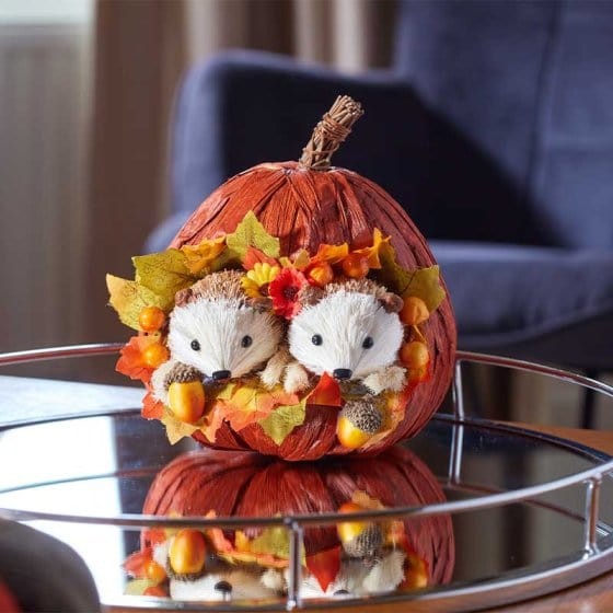 Smart Garden Autumn Pumpkin Pals - HedgehogsAutumn Decorations