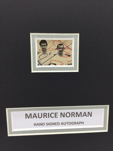 RARE Maurice Norman Tottenham Signed Photo Display + COA AUTOGRAPH SPURS - Picture 3 of 3