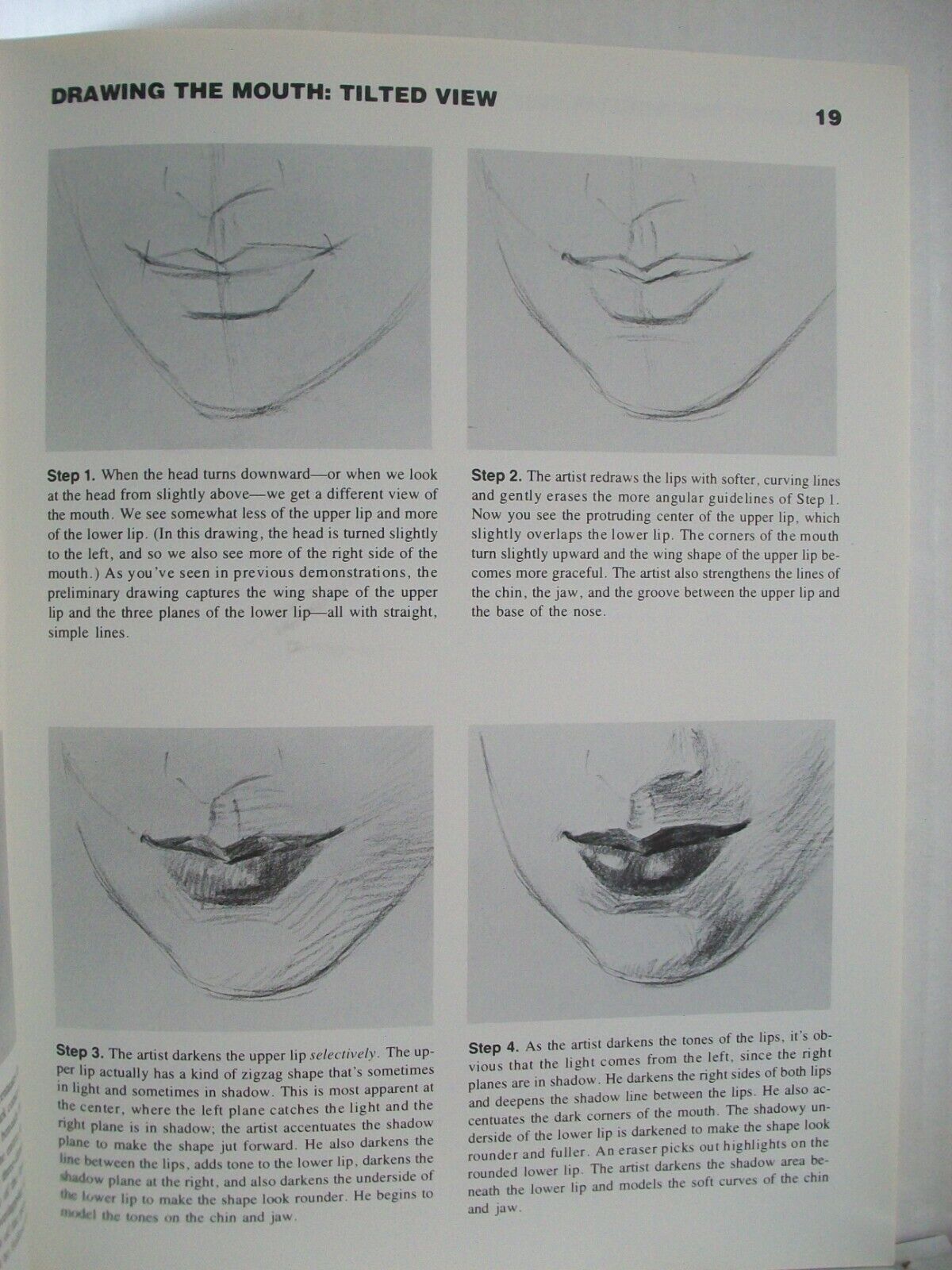 Picture 4 of 12
