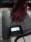 Foto 7 di 7