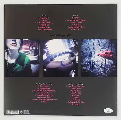 EVAN DANDO LEMONHEADS FIRMATO IT'S A SHAME ABOUT RAY LP ALBUM DISCO IN VINILE CON JSA - Foto 2 di 2
