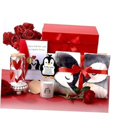 Valentines Day Gifts for Her Penguin Themed Valentines Basket Women Girlfriend