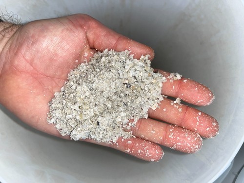 Guscio di ostrica bianco fine schiacciato - polli, terreno, corte da bocce (ingrosso) - Foto 4 di 4