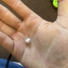 Pearl from an oyster 