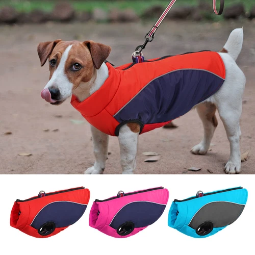 VETEMENTS Gilet impermeabile invernale per cani riflettente piccolo animale domestico antivento foderato caldo cucciolo cappotto 