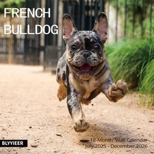 French Bulldog Wall Calendar 2026 | 12"x24" Family Planner for Dog Lovers