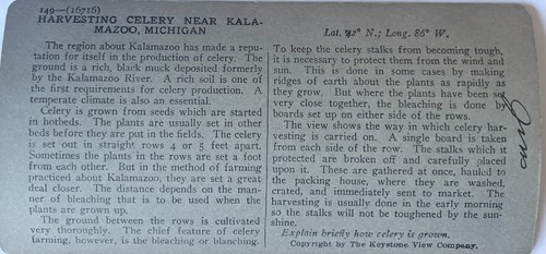 6 ANTIQUE TRACTORS FARM EQUIPTMENT 3-D VIEW STEREOSCOPIC PHOTOS STEREOVIEW CARDS - Picture 11 of 13