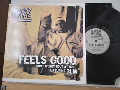 Naughty By Nature Feels Good レコード Naughty By Nature Feels Good レコード 通販
