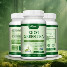 Egcg Green Tea - Weight Loss and Fat Burning, Antioxidant, Premium Supplements
