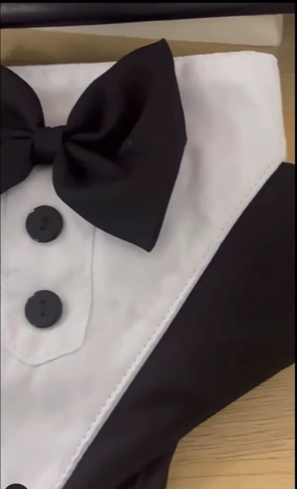 Dog Harness Tuxedo, Comfortable and Elegant, Formal Dog wedding harness