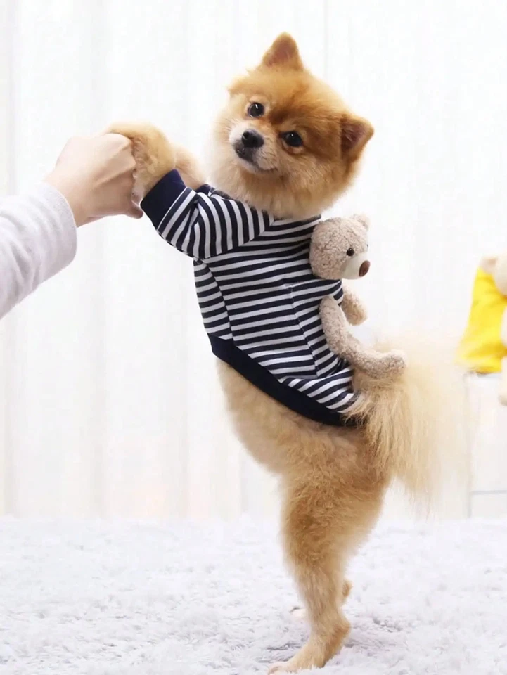 "Cute Pocket Bear Striped Dog Sweatshirt Velvet Pet Sweater for Small Medium Cat - Image 2 of 4