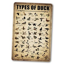 Type Of Duck Tin Sign Duck Hunting Decor Mallard Ducks Knowledge Metal Signs