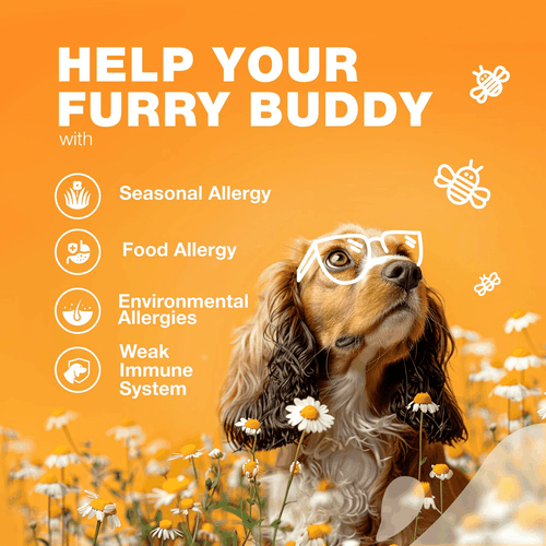 Dog Allergy Relief Chews Anti Itch Dog Allergy Chews with Salmon Oil 12.7 oz - Picture 4 of 9