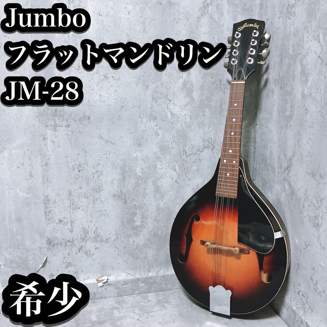 【希少】Jumbo フラットマンドリン JM-28 ヴィンテージ Rare Jumbo Flat Mandolin Jm-28 Vintage | eBay