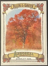 2021 Topps Allen & Ginter Arboreal Appreciation #AA-10 Scarlet Oak