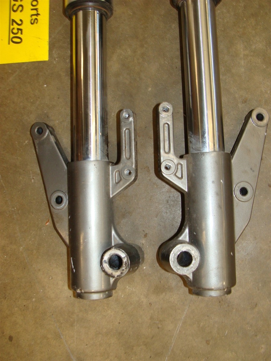 2006 Zongshen zs gs 250 sport bike FRONT FORKS SHOCKS FORK