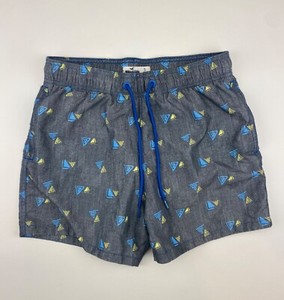 hollister bathing suits mens