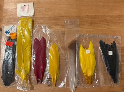 Vintage Fly Tying Feather Bird Quills Dyed Yellow Red Black Fishing  LOT