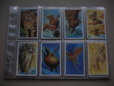 Full Set Brooke Bond GOING WILD Teekarten in Hüllen 1994