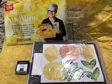 Stampin Up Paper Pumpkin BOX OF SUNSHINE Card Kit JUNE 2020 NEW READ