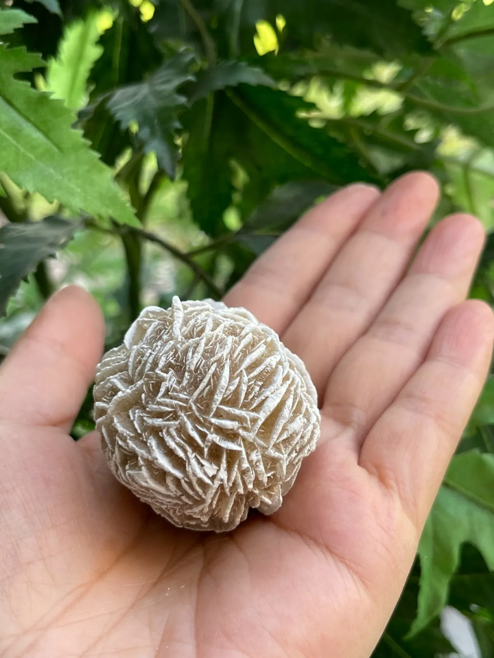 Extra Large Desert Rose Selenite Crystal - Natural Gypsum Rose, Pick Your Size (1.5-4 Inches)
