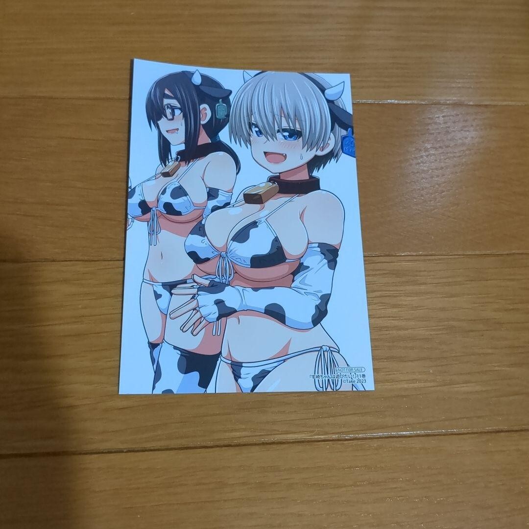 Picture 4 of 4
