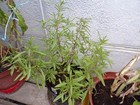 Bild 4 von 7