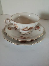 Mitterteich Bavaria Germany “Norway Rose” Demitasse Cup, Saucer, Cake Plate