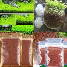 Live Aquarium Plant Seeds Monnieri, Hygrophila Lush Green Ground Covering Plants