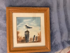 Framed Print Art ShoreBird/seagull Picture Blue Bird James Wake Artist Signed