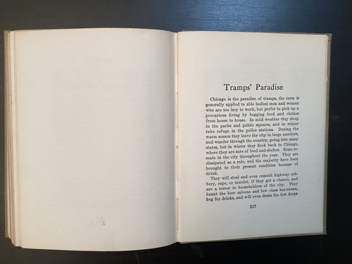 Chicago and Its Cess-Pools of Infamy- Samuel Paynter Wilson HC Boook - Picture 19 of 23
