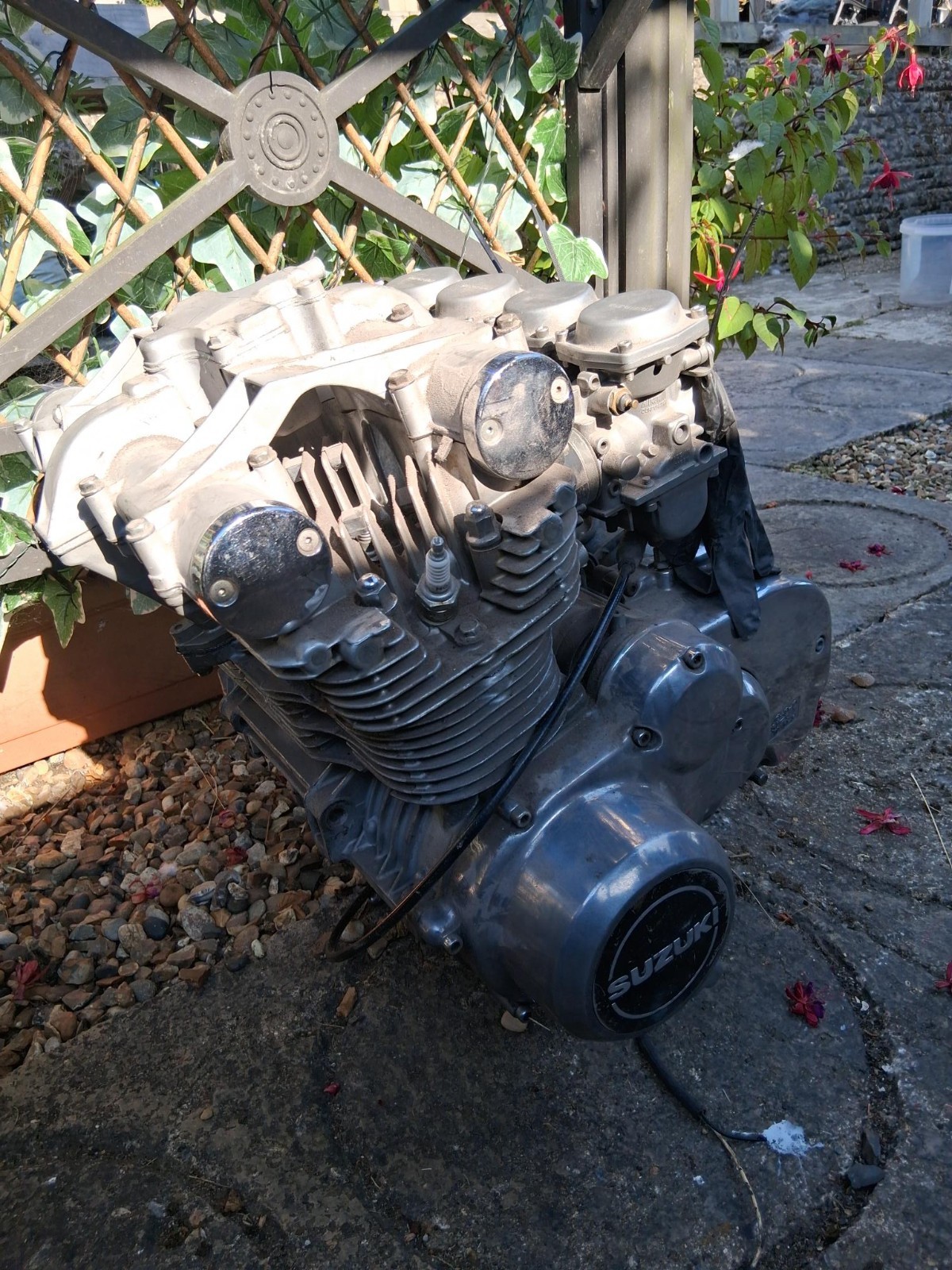 Picture 7 of 10