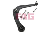 FAG 821 0613 10 Track Control Arm For Peugeot