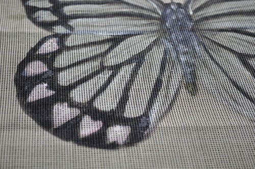 Lienzo de Penélope de punta pequeña pintada a mano mariposa común de Jezabel - Imagen 3 de 4