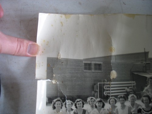 1953 Coats and Clark Inc. Albany GA Cotton Balling division Swift photo  - Bild 8 von 8