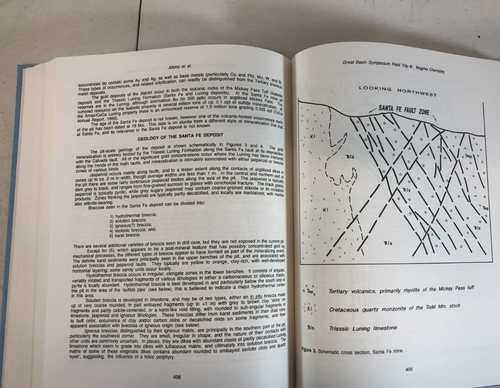 Geology and the Ore Deposit of the Great Basin, 2 vol., Buffa, 1991, E-119 - 第 11/18 張圖片