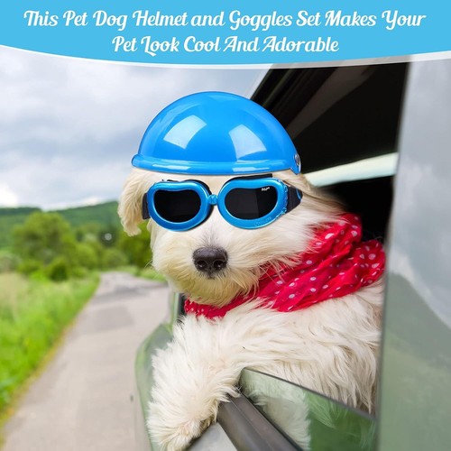 Pet Dog Helmet and Goggles Set Pet Motorcycle Helmet Dog Sunglasses Safety XS S - 第 13/25 張圖片