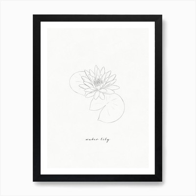 Seerose Linienzeichnung Kunstdruck gerahmt Wandbild Poster Leinwanddruck Bild