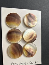 Lot of 6 Medium Antique/ Vintage MOP /Shell Buttons (Czech) #4002