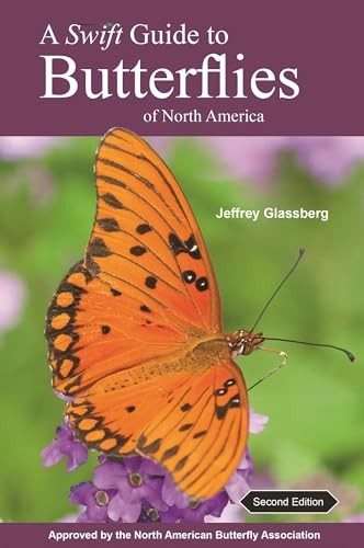 A Swift Guide to Butterflies of North America: Second Edition - Image 4