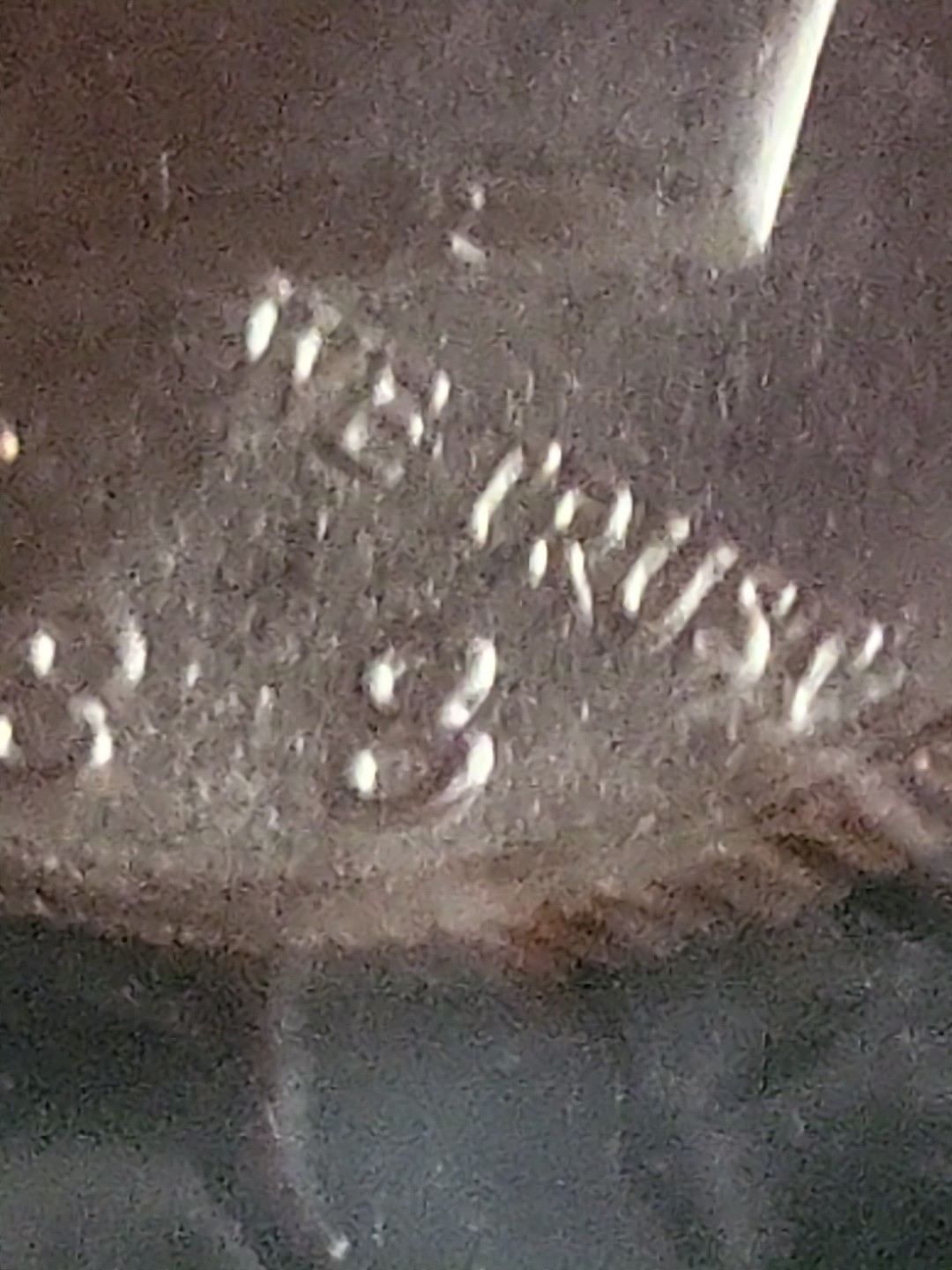 Picture 7 of 24
