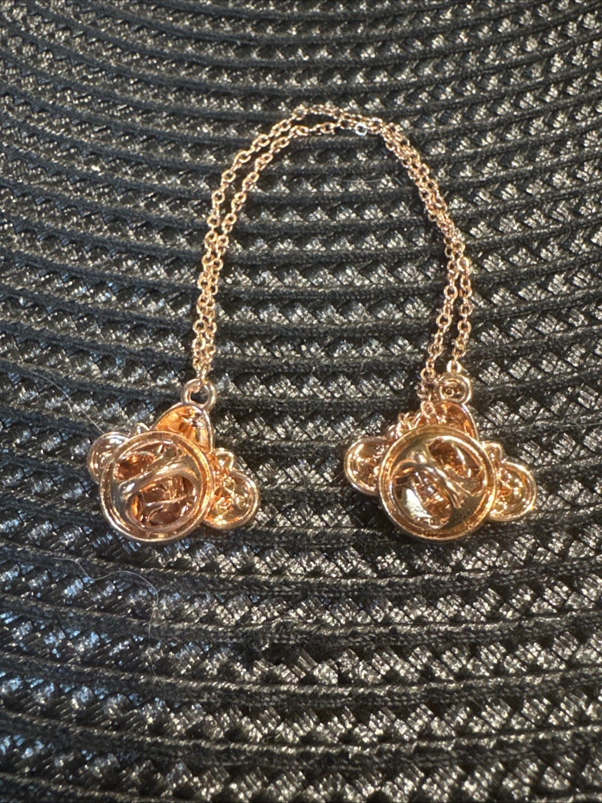 Bumble Bee Elegant Vintage Double Chain Pin With Butterfly Earrings & Pin Lot