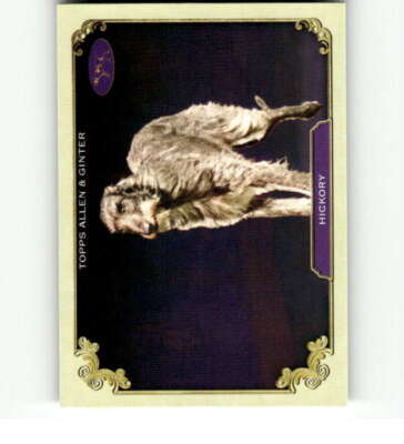 2024 Topps Allen and Ginter MLB Baseball Insert Singles (Pick Your Cards)