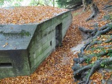 Photo 6x4 Half a door Lower Basildon The bank has encroached down and sta c2009