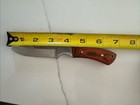 Winchester Logo Hunter Stainless Fixed Drop Blade Brown Wood Handle Knife — photo 5